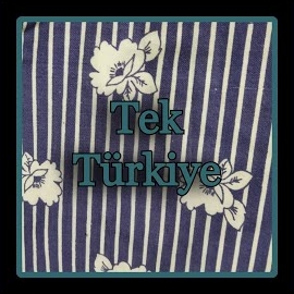 Tek Türkiye