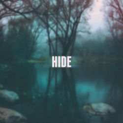 Hide