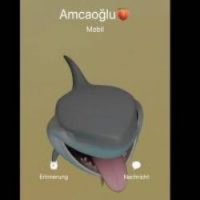 Amcaoğlu