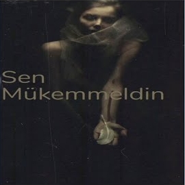 Sen Mükemmeldin