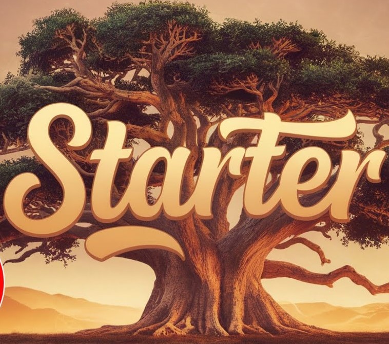 Starter