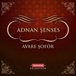 Avare Şöför