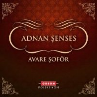 Avare Şöför
