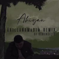 Akıllanamadım