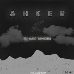 Bir Şair Tanıdım