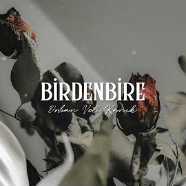 Birdenbire