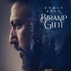 Bırakıp Gitti