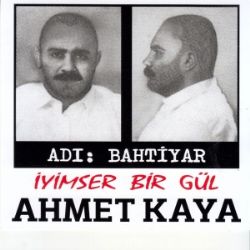 İyimser Bir Gül