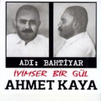İyimser Bir Gül