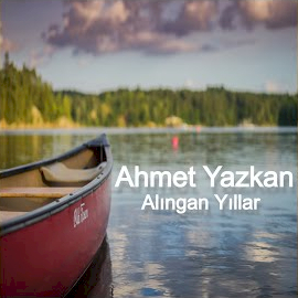 Alıngan Yıllar