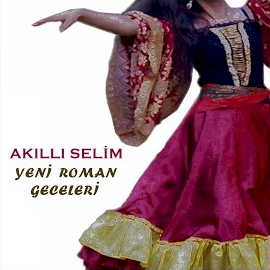 Yeni Roman Geceleri