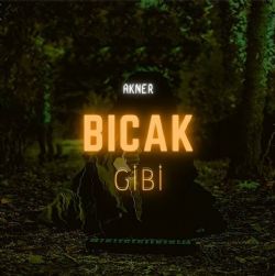 Bıçak Gibi