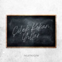Çilek Kokan Yıllar