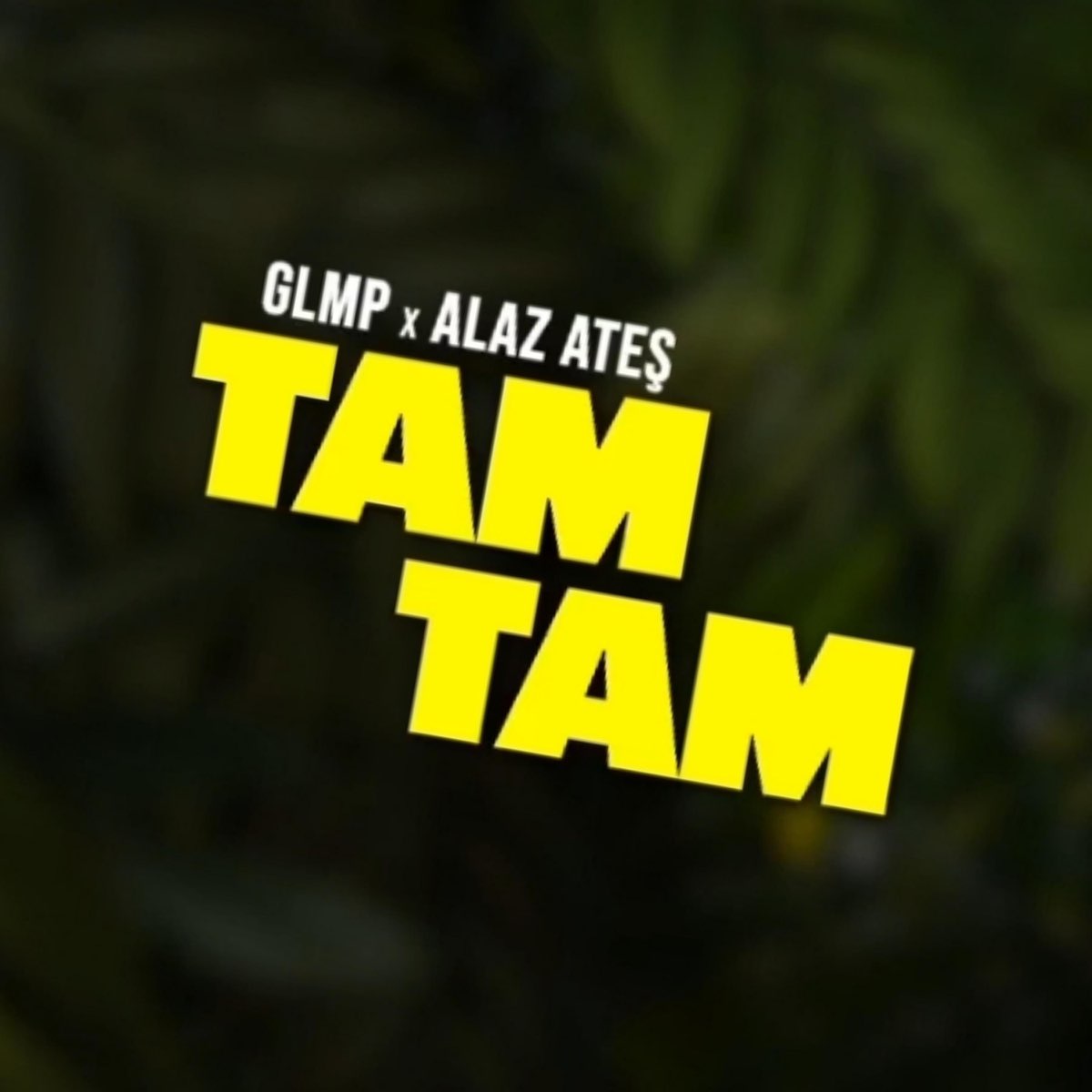 Tam Tam