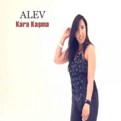 Kara Kaşına
