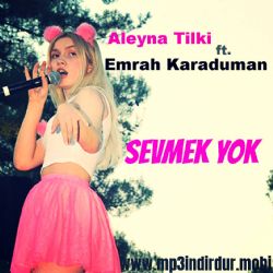 Sevmek Yok