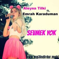Sevmek Yok