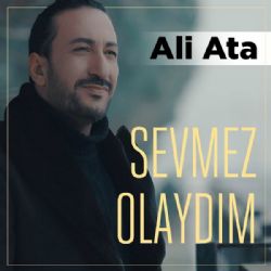 Sevmez Olaydım