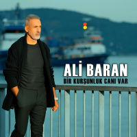 Bir Kurşunluk Canı Var