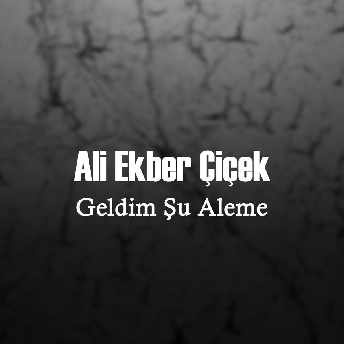 Geldim Şu Aleme