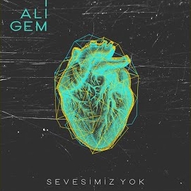 Sevesimiz Yok