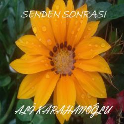 Senden Sonrası