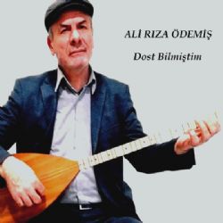 Dost Bilmiştim