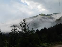 Unutma Bizi