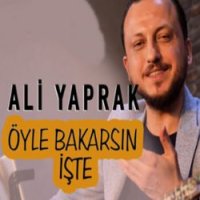 Öyle Bakarsın İşte