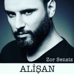 Zor Sensiz