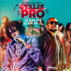 Gyalis Pro