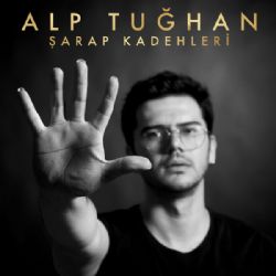 Şarap Kadehleri