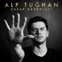 Şarap Kadehleri