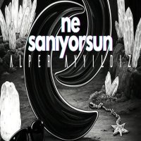 Ne Sanıyorsun