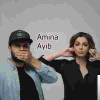 Ayıb