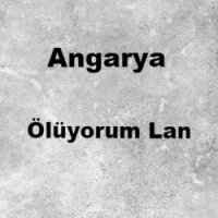 Ölüyorum Lan