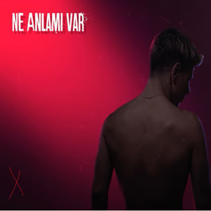 Ne Anlamı Var
