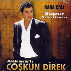 Kara Çalı
