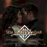 Sen Şimdiye Kadar Sevmeyi Bilmiyormuşsun