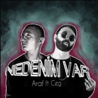 Nedenim Var