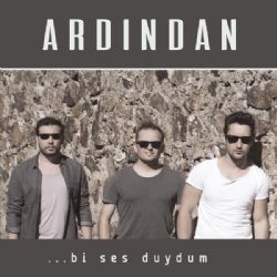 Bi Ses Duydum