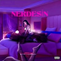 Nerdesin