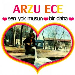 Sen Yok Musun