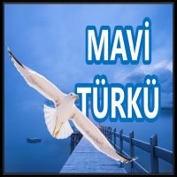 Mavi Türkü
