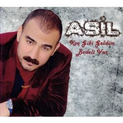 Koç Gibi Geldim