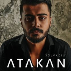 Solmadın