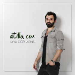 Ayva Çiçek Açmış