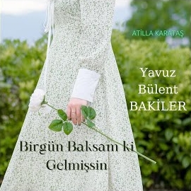 Birgün Baksam Ki Gelmişsin