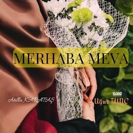 Merhaba Meva