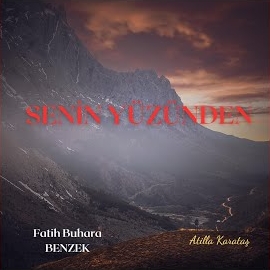 Senin Yüzünden